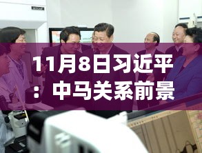 11月8日習(xí)近平：中馬關(guān)系前景光明 未來(lái)可期，11月8日習(xí)近平主席談中馬關(guān)系，未來(lái)光明，前景可期