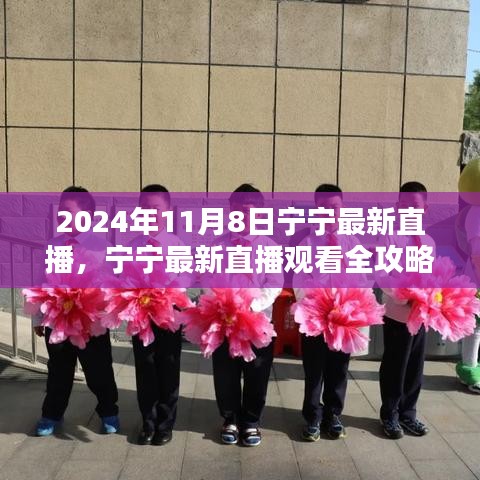 寧寧直播指南，2024年11月8日直播觀看全攻略與入門指南