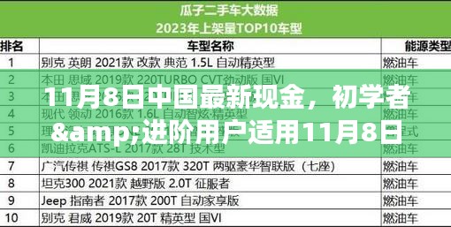 初學(xué)者與進(jìn)階用戶指南，11月8日中國最新現(xiàn)金操作指南及任務(wù)完成步驟詳解