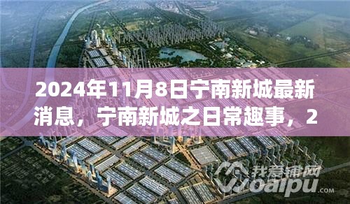 寧南新城日常趣事與陽光溫情，2024年11月8日最新消息