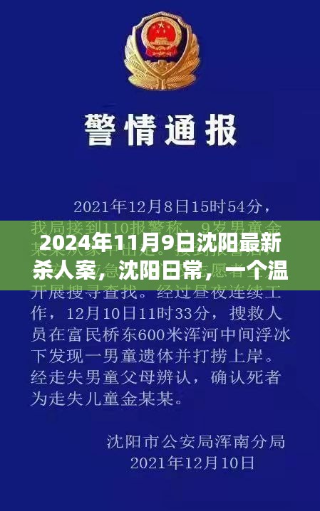 沈陽殺人案背后的友情與陪伴故事，日常溫馨背后的真相（2024年）