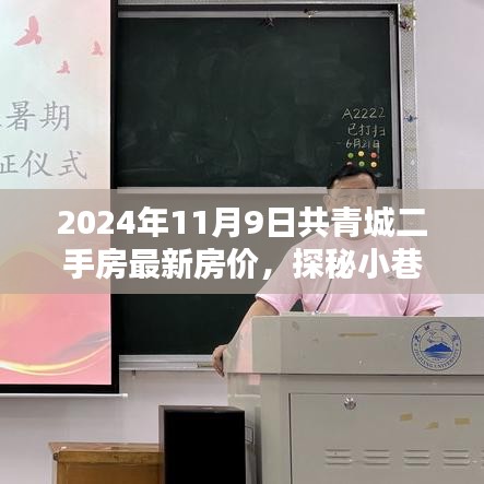 2024年共青城二手房最新房?jī)r(jià)揭秘，小巷特色小店探秘