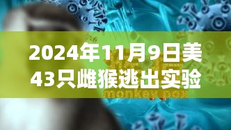 實驗室雌猴逃逸攜帶致命病毒風(fēng)險重重