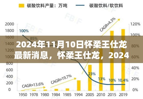 懷柔王仕龍最新動態(tài)與深遠(yuǎn)影響力揭曉，2024年11月10日更新