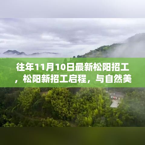 松陽最新招工啟程，與自然美景的邂逅，開啟寧靜之旅的職場探索