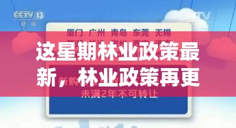 林業(yè)政策最新動向，本周更新及其時(shí)代影響力分析