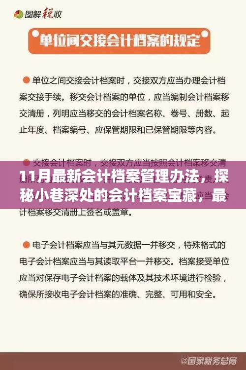 探秘最新會計(jì)檔案管理辦法，小巷深處的寶藏與獨(dú)特故事揭秘