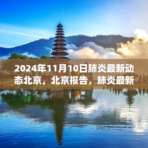 北京肺炎最新動態(tài)深度觀察，報(bào)告與影響，2024年11月10日最新進(jìn)展