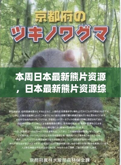 日本最新熊片資源綜述，背景、進(jìn)展與特定領(lǐng)域地位探討