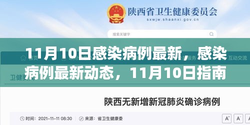 11月10日感染病例最新動態(tài)，獲取準確信息及應對技能的指南