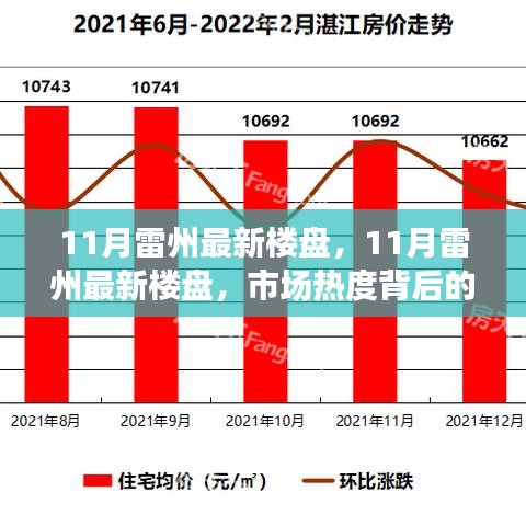 市場熱度背后的深度解讀與個人立場，11月雷州最新樓盤觀察