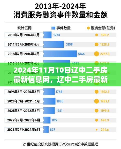 2024年11月10日遼中二手房市場(chǎng)最新動(dòng)態(tài)，樓市變遷與影響深度解析