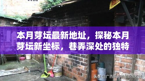 探秘本月芽壇新坐標(biāo)，巷弄深處的獨特小店最新地址揭秘