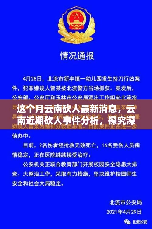 云南砍人事件最新消息，深層原因探究與各方觀點(diǎn)分析