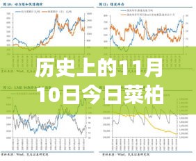 歷史上的11月10日，菜柏價(jià)格背后的勵志故事與最新行情，自信成就感的源泉