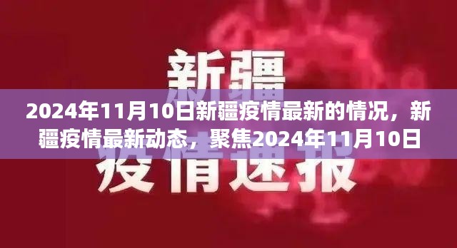 2024年11月10日新疆疫情最新進(jìn)展與動(dòng)態(tài)