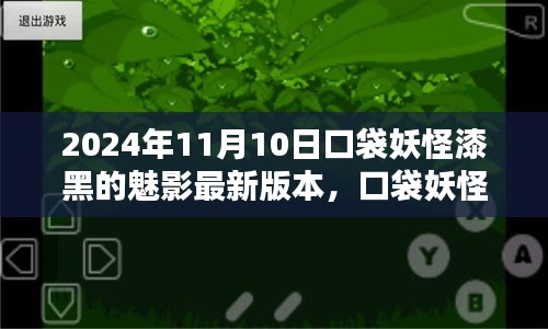 口袋妖怪漆黑的魅影，最新版本的探索與影響