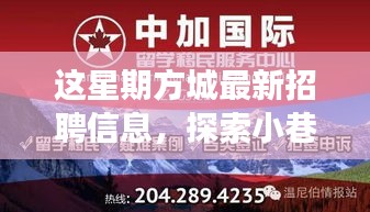 方城最新招聘信息揭秘，小巷秘境與獨(dú)特小店之旅