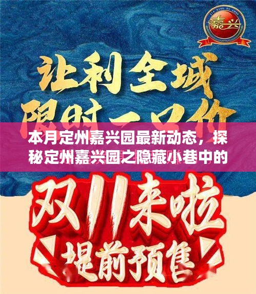 本月定州嘉興園最新動(dòng)態(tài)，探秘隱藏小巷的獨(dú)特風(fēng)味——新鮮打卡指南