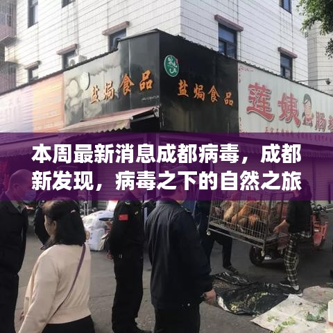 成都病毒新發(fā)現(xiàn)，自然之旅中的心靈港灣探尋