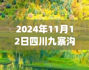 2024年11月12日四川九寨溝最新情況，自然恢復(fù)與旅游新篇章開啟