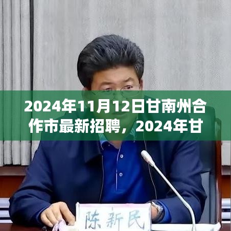 2024年甘南州合作市最新招聘盛會，職業(yè)發(fā)展的理想舞臺開啟