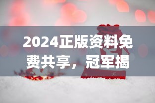 2024正版資料免費共享，冠軍揭曉預告_E VH233.8預備版