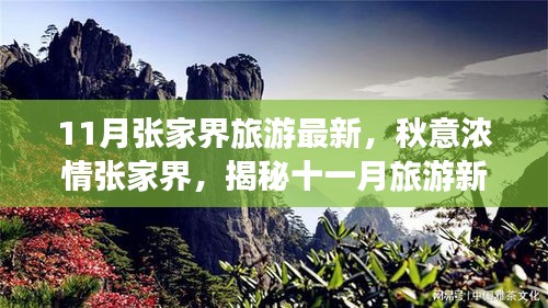 揭秘十一月張家界秋意濃情，最新旅游指南開啟新篇章