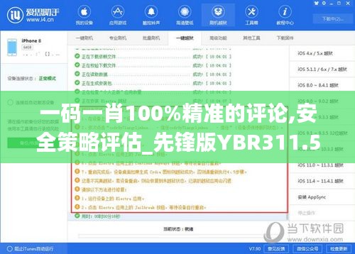 一碼一肖100%精準的評論,安全策略評估_先鋒版YBR311.59