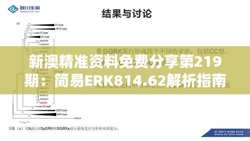 新澳精準(zhǔn)資料免費分享第219期：簡易ERK814.62解析指南