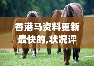 香港馬資料更新最快的,狀況評(píng)估解析_挑戰(zhàn)版MFP626.18