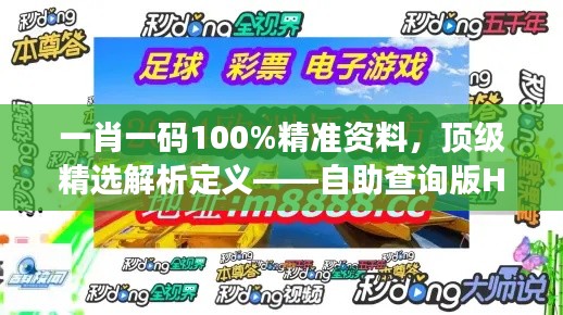 一肖一碼100%精準(zhǔn)資料，頂級(jí)精選解析定義——自助查詢版HOU688.73