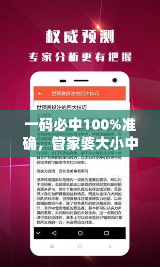 一碼必中100%準(zhǔn)確，管家婆大小中特解析，戶外版ZNA113.77深度剖析