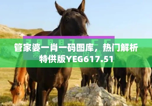 管家婆一肖一碼圖庫，熱門解析特供版YEG617.51