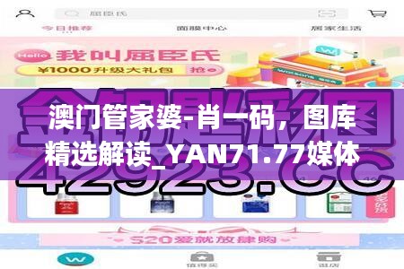 澳門管家婆-肖一碼，圖庫精選解讀_YAN71.77媒體版