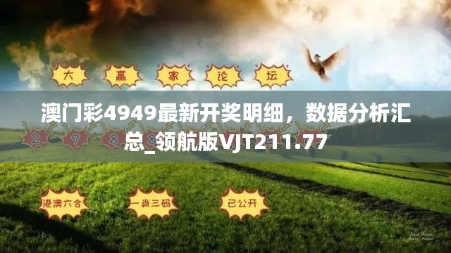 澳門彩4949最新開獎(jiǎng)明細(xì)，數(shù)據(jù)分析匯總_領(lǐng)航版VJT211.77