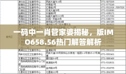 一碼中一肖管家婆揭秘，版IMO658.56熱門解答解析