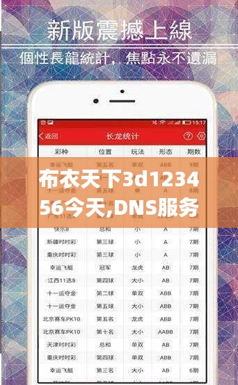 布衣天下3d123456今天,DNS服務(wù)_筑基WKE202.52