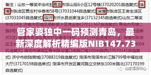 管家婆獨(dú)中一碼預(yù)測青島，最新深度解析精編版NIB147.73