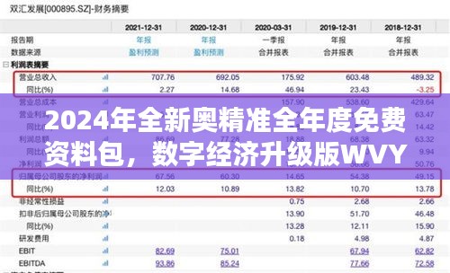 2024年全新奧精準(zhǔn)全年度免費資料包，數(shù)字經(jīng)濟升級版WVY560.95