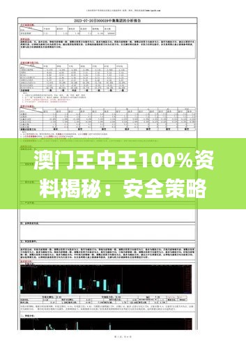 澳門王中王100%資料揭秘：安全策略評估報告_造化境XUK645.54