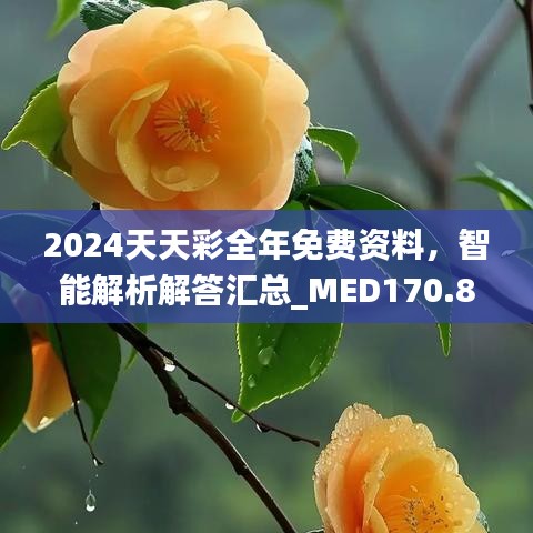 2024天天彩全年免費(fèi)資料，智能解析解答匯總_MED170.88版