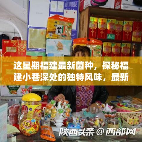 福建小巷深處的獨(dú)特風(fēng)味，最新菌種小店之旅探秘記