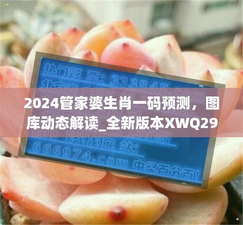 2024管家婆生肖一碼預(yù)測(cè)，圖庫(kù)動(dòng)態(tài)解讀_全新版本XWQ290.47