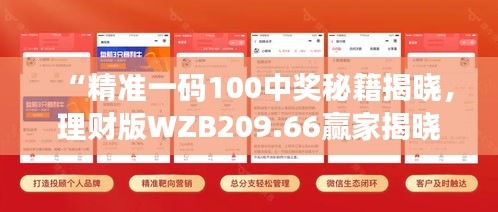 “精準(zhǔn)一碼100中獎(jiǎng)秘籍揭曉，理財(cái)版WZB209.66贏家揭曉”