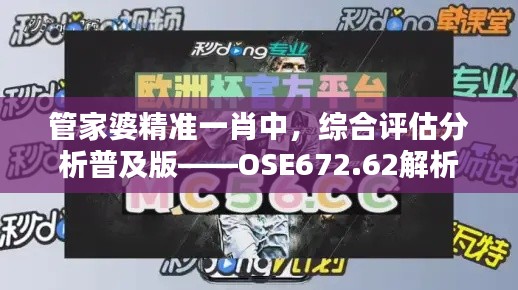 管家婆精準(zhǔn)一肖中，綜合評(píng)估分析普及版——OSE672.62解析