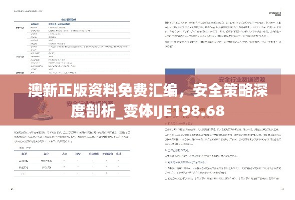 澳新正版資料免費(fèi)匯編，安全策略深度剖析_變體IJE198.68