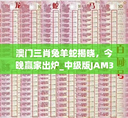 澳門(mén)三肖兔羊蛇揭曉，今晚贏家出爐_中級(jí)版JAM324.11