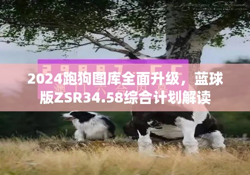 2024跑狗圖庫全面升級，藍(lán)球版ZSR34.58綜合計劃解讀