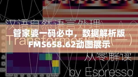 管家婆一碼必中，數(shù)據(jù)解析版FMS658.62動圖展示